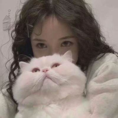 开平伴游女生韩婉婷的资料